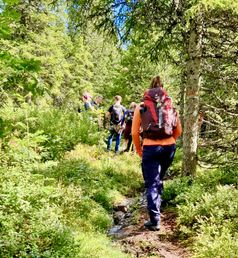 Wandeling bij Lybergsgnupen